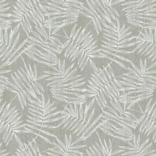 white-gray leaves-Bonita-Hojas