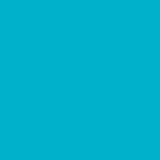 oilcloth-Awable-light-blue-bue-atoi
