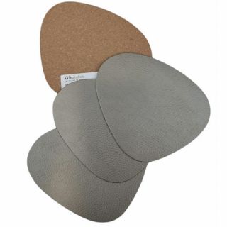 silver-Coaster-LearningSkinnatur-If