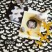 lola-oilcloth-Beige-black